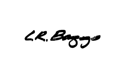 Display lr baggs logo
