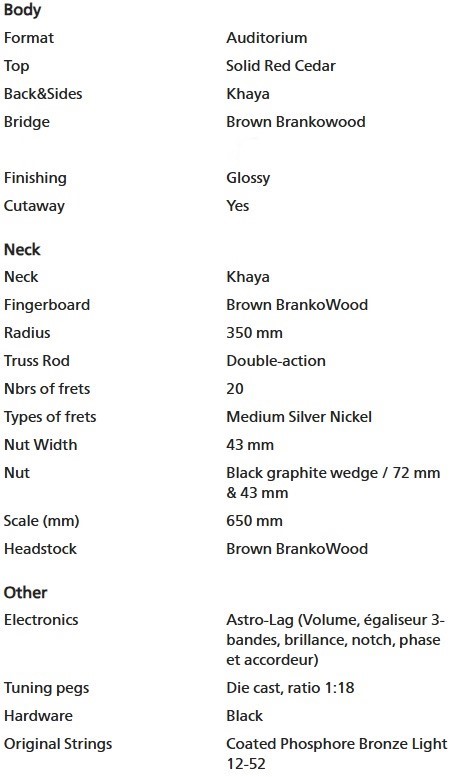 T118ASCE Specs