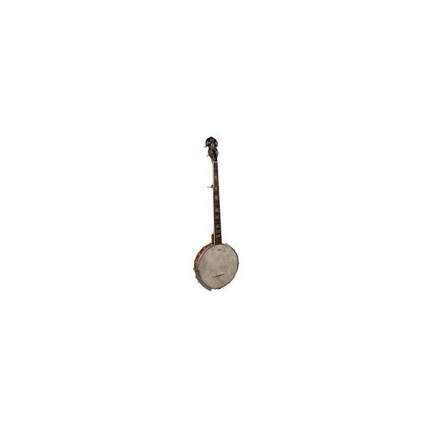 Square barnes mullins banjo g bj350g.2