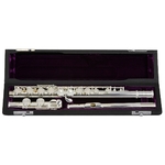 Trevor James 10x Flute Outfit Shaped Lip Plate Silver
