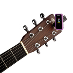 DAddario PW-CT-17PR Eclipse Headstock Tuner Purple