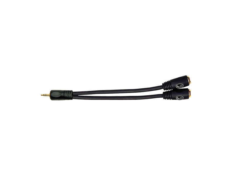 DAddario 1/8 Inch (3.5mm) Male Stereo to Dual 1/8 Inch (3.5mm) Female Stereo Adaptor