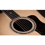 Taylor Legacy 810e Indian Rosewood Acoustic Guitar