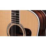 Taylor Legacy 810e Indian Rosewood Acoustic Guitar