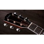 Taylor Legacy 810e Indian Rosewood Acoustic Guitar