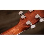 Taylor Legacy 810e Indian Rosewood Acoustic Guitar