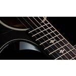 Taylor Builders Edition 524ce Shamel Ash Acoustic-Electric Guitar