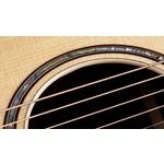 Taylor 814ce Grand Auditorium Indian Rosewood Acoustic-Electric Guitar