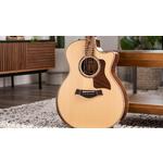 Taylor 814ce Grand Auditorium Indian Rosewood Acoustic-Electric Guitar