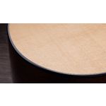 Taylor 314ce Grand Auditorium Sitka / Sapele Acoustic-Electric Guitar