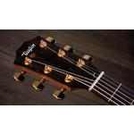Taylor 224ce-K DLX Grand Auditorium Hawaiian Koa Acoustic-Electric Guitar