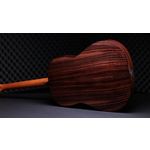 Taylor 217e-SB Plus Ltd 50th Anniversary Acoustic-Electric Guitar