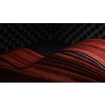 Taylor 217e-SB Plus Ltd 50th Anniversary Acoustic-Electric Guitar