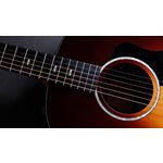 Taylor 217e-SB Plus Ltd 50th Anniversary Acoustic-Electric Guitar