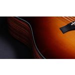 Taylor 217e-SB Plus Ltd 50th Anniversary Acoustic-Electric Guitar