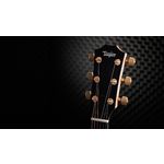Taylor 217e-SB Plus Ltd 50th Anniversary Acoustic-Electric Guitar