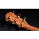 Taylor 217e-SB Plus Ltd 50th Anniversary Acoustic-Electric Guitar