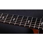 Taylor 217e-SB Plus Ltd 50th Anniversary Acoustic-Electric Guitar