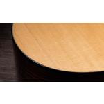 Taylor 212ce Plus Grand Concert Indian Rosewood Acoustic-Electric Guitar