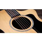 Taylor 212ce Plus Grand Concert Indian Rosewood Acoustic-Electric Guitar