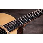 Taylor 212ce Plus Grand Concert Indian Rosewood Acoustic-Electric Guitar
