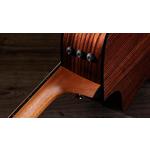 Taylor 212ce Plus Grand Concert Indian Rosewood Acoustic-Electric Guitar