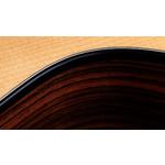 Taylor 212ce Plus Grand Concert Indian Rosewood Acoustic-Electric Guitar