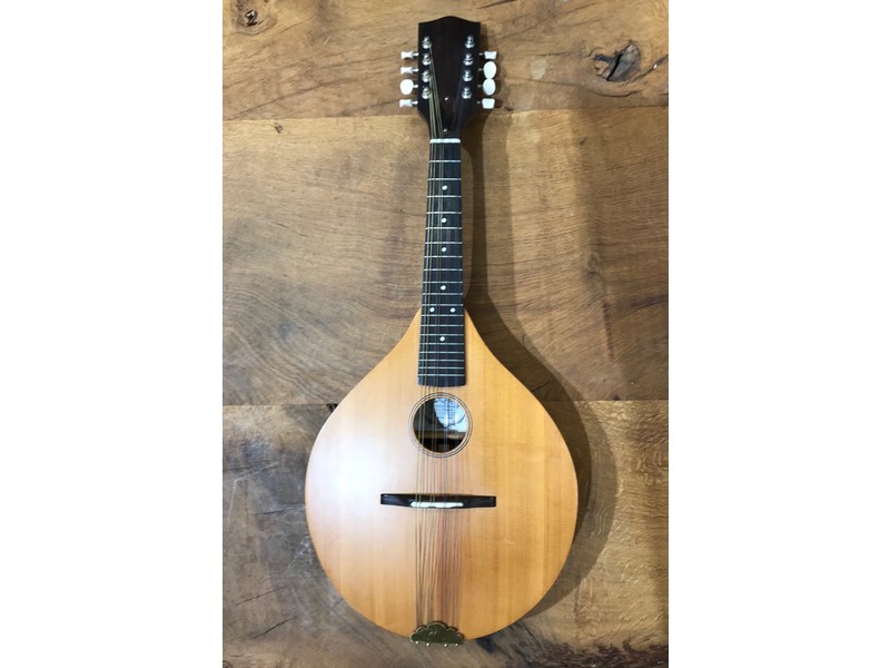 Pre Loved Ashbury Celtic Standard Mandolin inc Hard Case