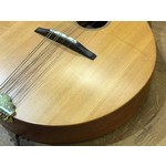 Pre Loved Ashbury Celtic Standard Mandolin inc Hard Case