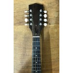 Pre Loved Ashbury Celtic Standard Mandolin inc Hard Case