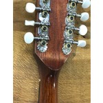 Pre Loved Ashbury Celtic Standard Mandolin inc Hard Case