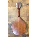 Pre Loved Ashbury Celtic Standard Mandolin inc Hard Case