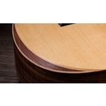 Taylor Academy 12e-N Grand Concert Walnut Nylon Acoustic-Electric Guitar