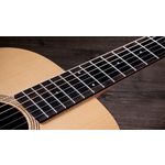 Taylor Academy 12e-N Grand Concert Walnut Nylon Acoustic-Electric Guitar