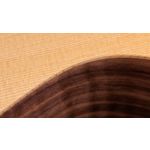 Taylor Academy 12e-N Grand Concert Walnut Nylon Acoustic-Electric Guitar