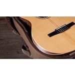 Taylor Academy 12e-N Grand Concert Walnut Nylon Acoustic-Electric Guitar