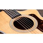 Taylor 212ce Grand Concert Walnut Acoustic-Electric Guitar