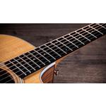 Taylor 212ce Grand Concert Walnut Acoustic-Electric Guitar