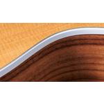 Taylor 212ce Grand Concert Walnut Acoustic-Electric Guitar