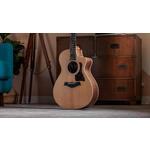 Taylor 212ce Grand Concert Walnut Acoustic-Electric Guitar