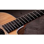 Taylor 214ce Grand Auditorium Layered Walnut Acoustic-Electric Guitar
