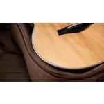 Taylor 214ce Grand Auditorium Layered Walnut Acoustic-Electric Guitar