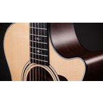 Taylor 352ce Grand Concert 12-String Electro Acoustic