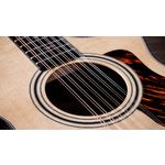 Taylor 352ce Grand Concert 12-String Electro Acoustic