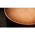 Taylor 314ce Studio Electro Acoustic Shaded Edge Burst