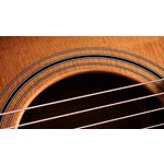 Taylor 314ce Studio Electro Acoustic Shaded Edge Burst