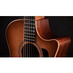 Taylor 314ce Studio Electro Acoustic Shaded Edge Burst