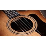 Taylor 314ce Studio Electro Acoustic Shaded Edge Burst