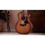 Taylor 314ce Studio Electro Acoustic Shaded Edge Burst