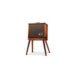 Taylor Circa 74 Acoustic Guitar Amp With Stand
